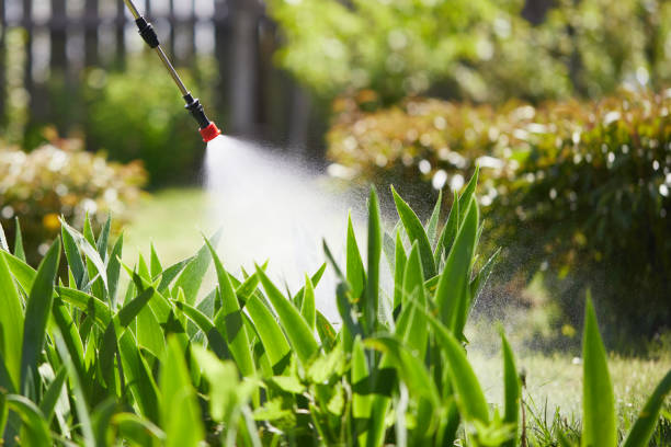 24/7 Emergency Bed Bug Control experts in Independent Hill, VA