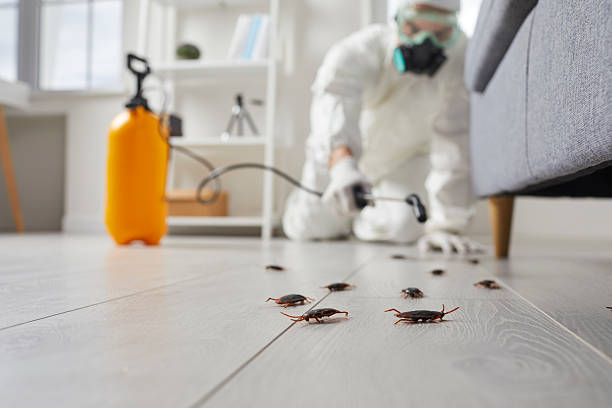 Trusted Emergency Pest Control service in Independent Hill, VA - Nex Pest Control