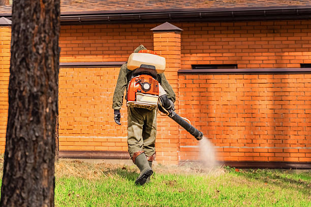 Trusted Bed Bug Control service in Independent Hill, VA - Nex Pest Control